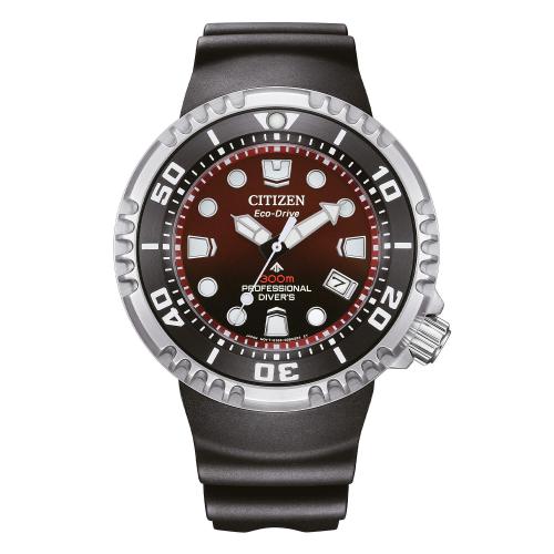Citizen Promaster Professional Diver's 300, bordeaux