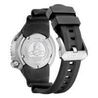 Citizen Promaster Professional Diver's 300, bordeaux