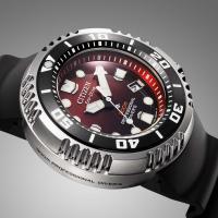 Citizen Promaster Professional Diver's 300, bordeaux