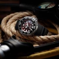 Citizen Promaster Professional Diver's 300, bordeaux