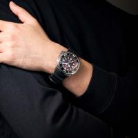 Citizen Promaster Professional Diver's 300, bordeaux