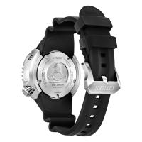 Citizen Promaster Professional Diver's 300 LIMITED EDITION, blu